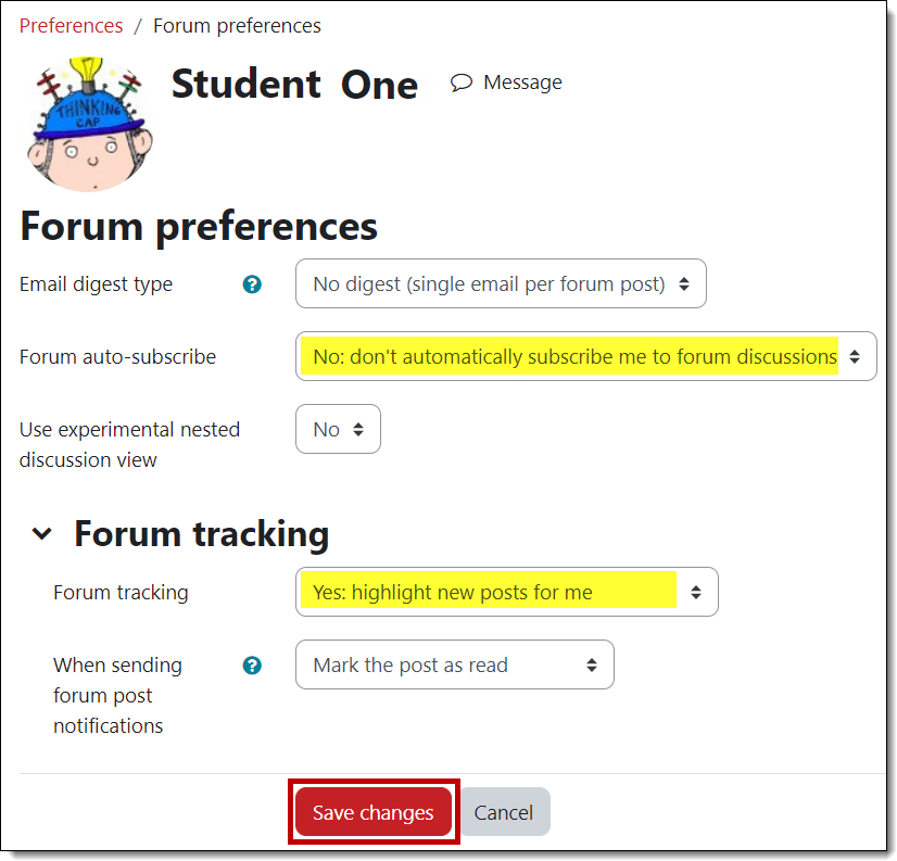 Screenshot of suggested settings
